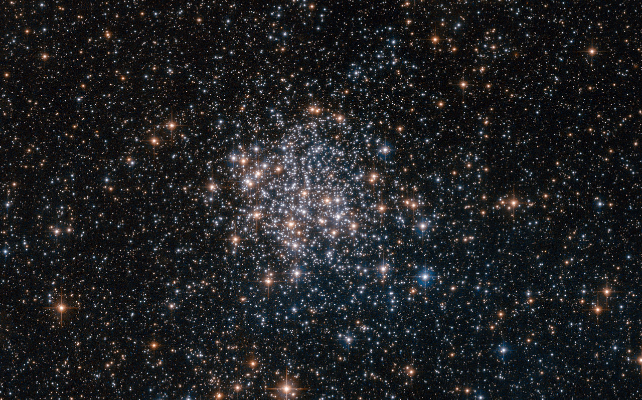 The stars of the Large Magellanic Cloud